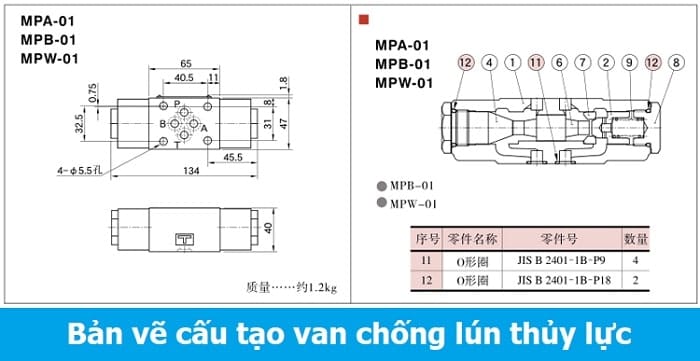 ban ve cau tao van chong lun thuy luc