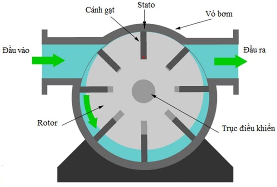 Bơm cánh gạt 3 Cấu tạo bơm cánh gạt