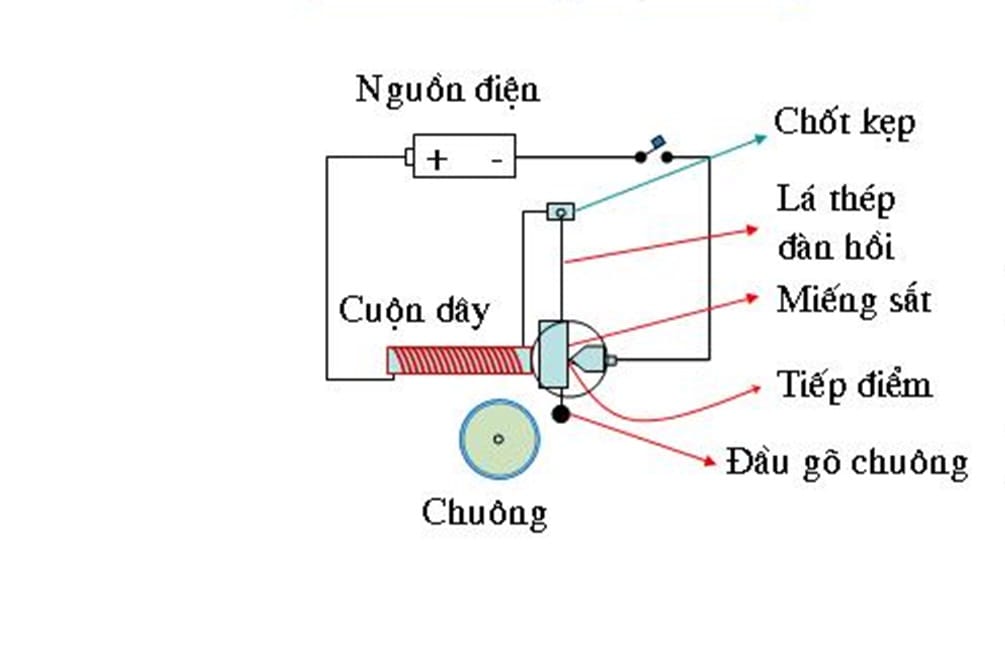 Cau tao chuong cua co day