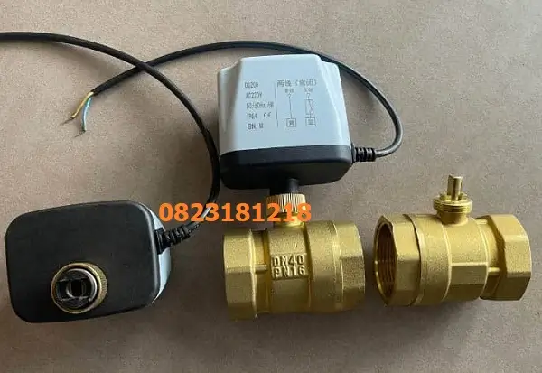 Van bi đồng điều khiển điện