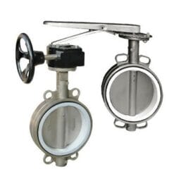 Van bướm inox