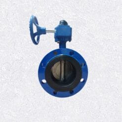 Van bướm mặt bích