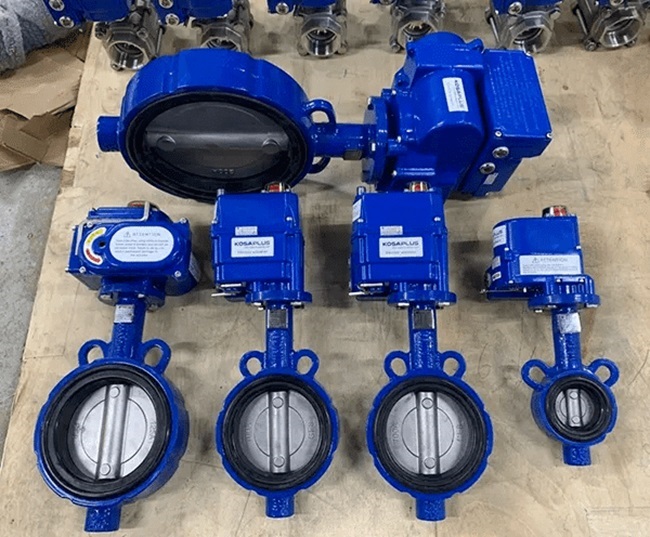 Van Bướm Gang Điều Khiển Điện