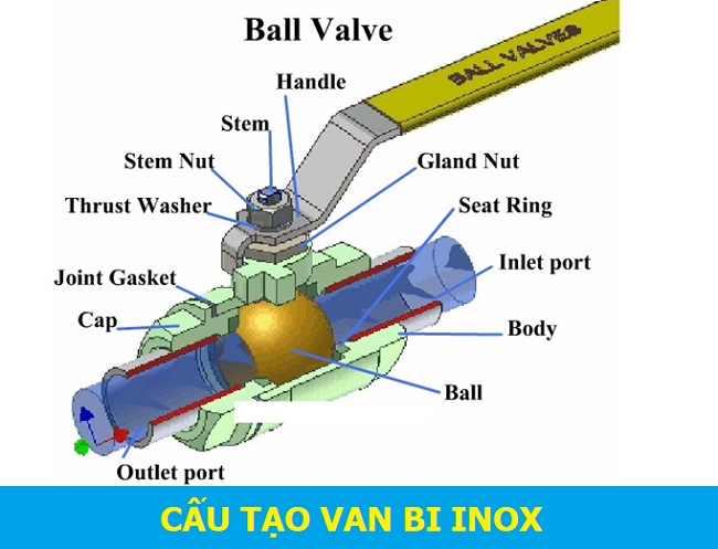 cau tao van bi