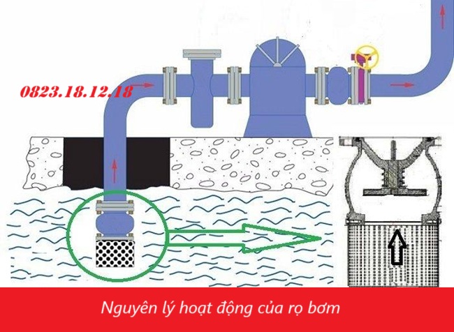 Rọ bơm 4 Nguyên lý hoạt động của rọ bơm