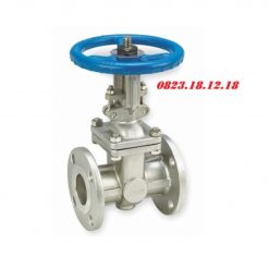 Van cổng mặt bích tiêu chuẩn ANSI