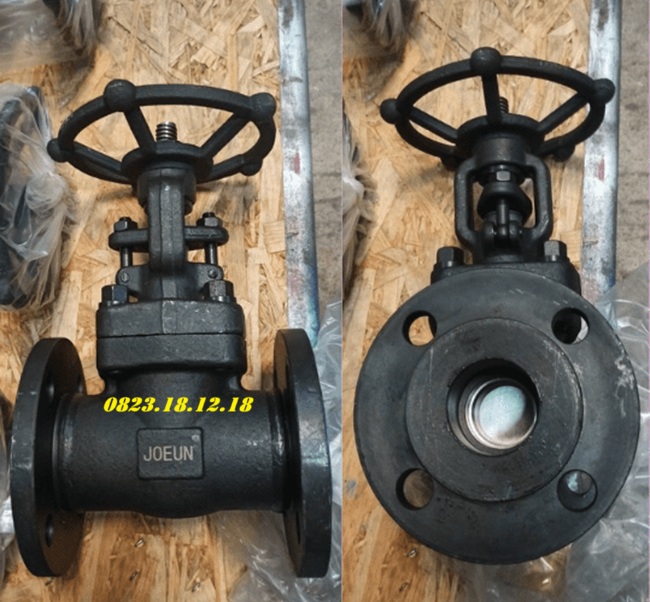 Van cổng thép rèn 6 Van cổng thép rèn mặt bích