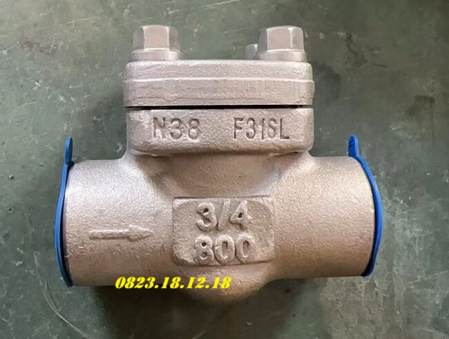 Van 1 chiều dạng piston