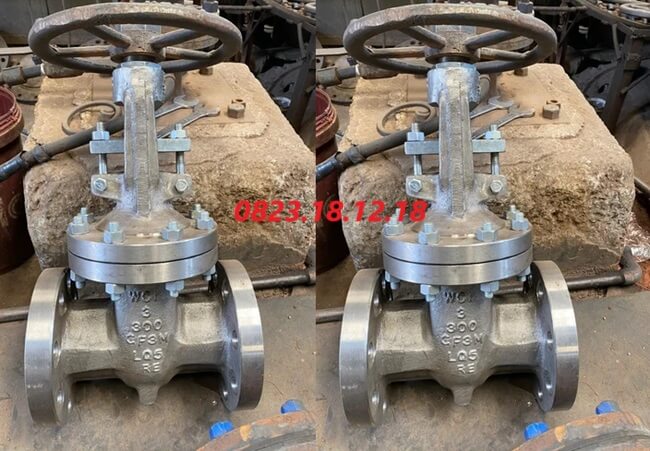 Van cầu inox