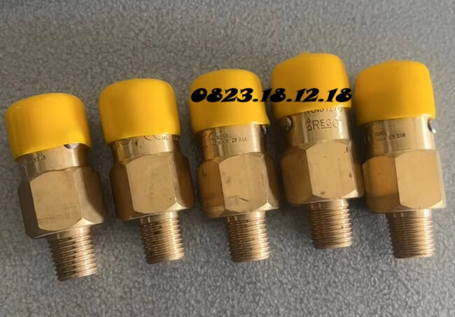 Van an toàn rego áp cao 7 Van điều áp Rego áp cao