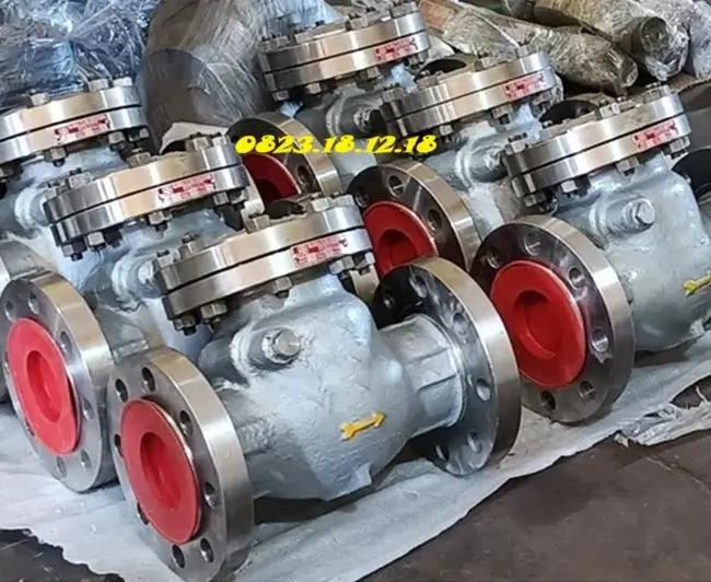 Van 1 chiều lá lật inox 13 Van 1 chiều lá lật inox công nghiệp