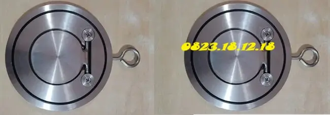 Van một chiều vi sinh 15 Van một chiều vi sinh dạng đĩa