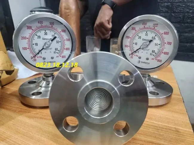 Đồng hồ đo áp suất inox dạng màng 11 Đồng hồ đo áp suất dạng màng inox 304