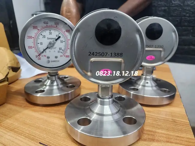 Đồng hồ đo áp suất inox dạng màng 16 Đồng hồ đo áp suất inox dạng màng chính hãng