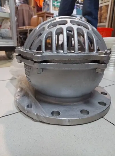 Rọ bơm inox mặt bích JIS 10K 2 Rọ bơm inox mặt bích JIS 10K