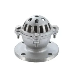 Rọ bơm inox mặt bích JIS 10K
