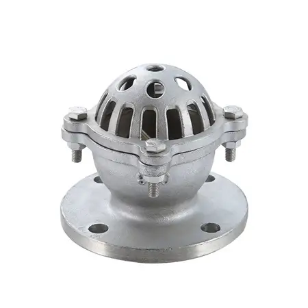 Rọ bơm inox mặt bích JIS 10K 1 Rọ bơm inox mặt bích JIS 10K