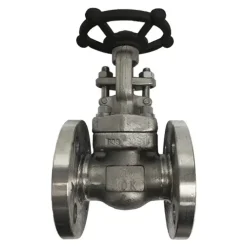 Van cổng mặt bích JIS 10K