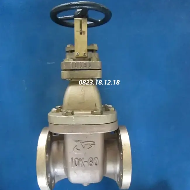 Van cổng mặt bích JIS 10K ty nổi