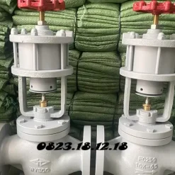 Van dù điều khiển khí nén Wyeco