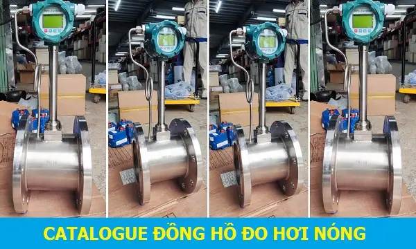 Catalogue đồng hồ đo lưu lượng hơi nóng