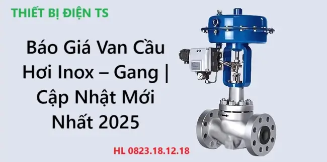 Báo Giá Van Cầu Hơi Inox – Gang | Cập Nhật Mới Nhất 2025 6 Báo Giá Van Cầu Hơi Inox Gang