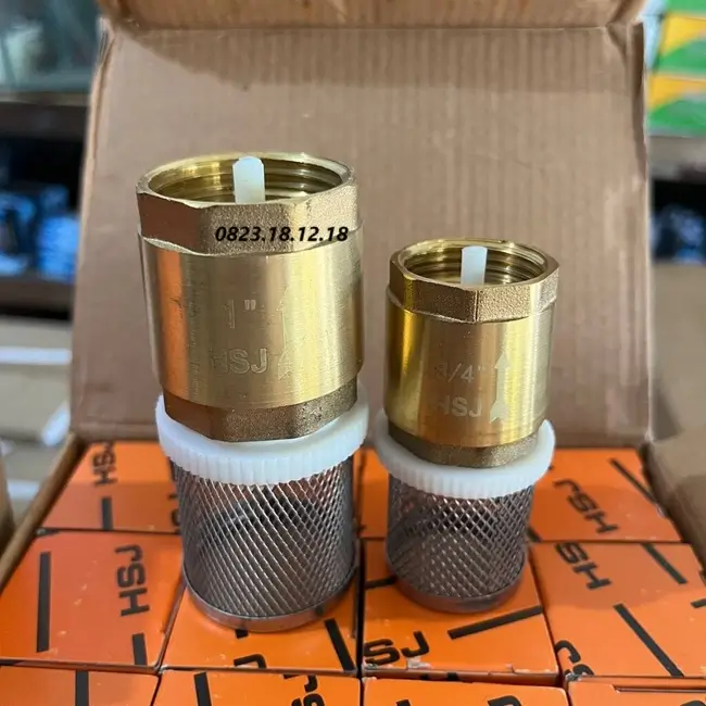 Rọ bơm đồng 13 Brass foot valve