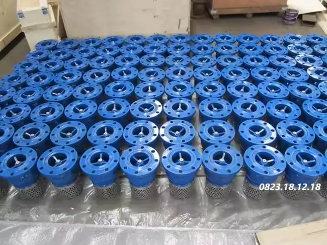Chõ bơm mặt bích
