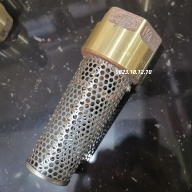 Rọ bơm nối ren 12 Rọ bơm đồng nối ren