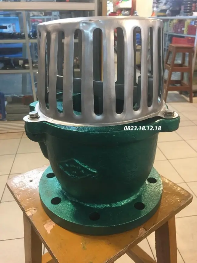 Rọ bơm gang mặt bích