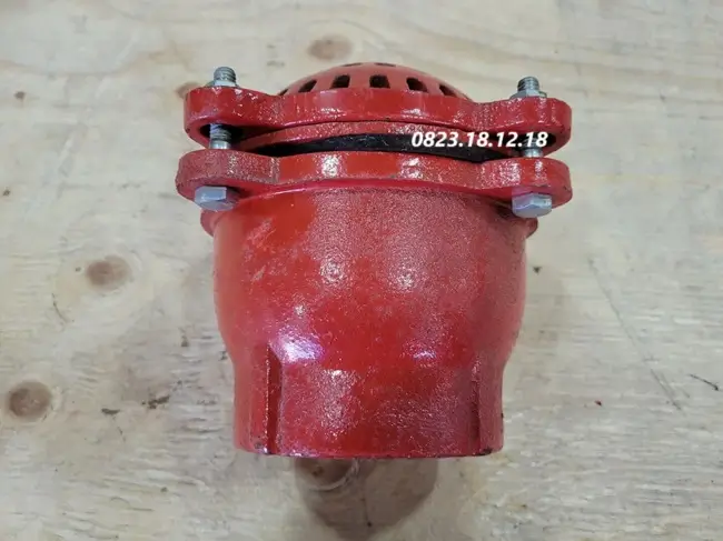 Rọ bơm nối ren 9 Rọ bơm gang nối ren