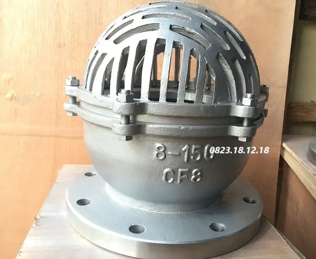 Rọ bơm inox mặt bích
