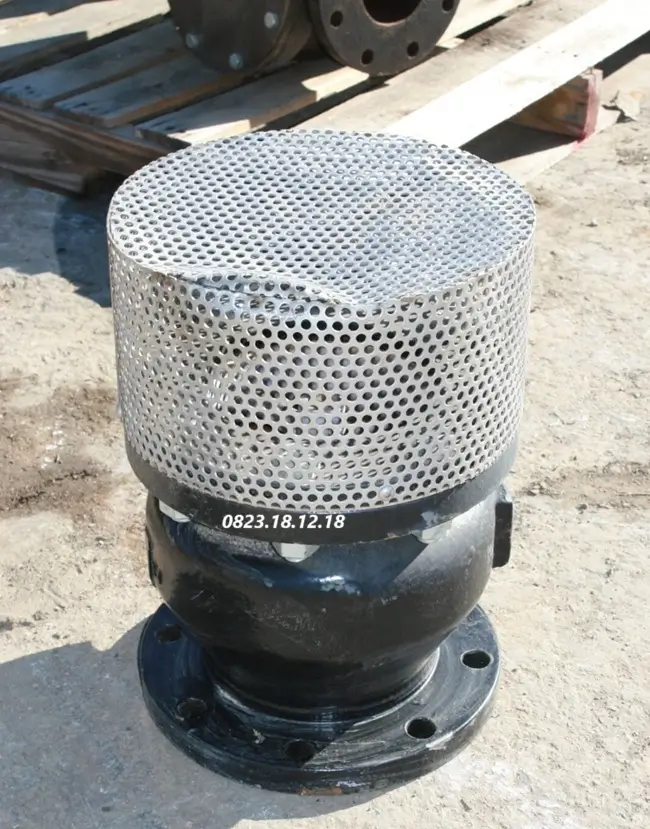 Rọ bơm mặt bích 