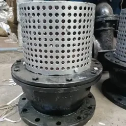 Rọ bơm mặt bích
