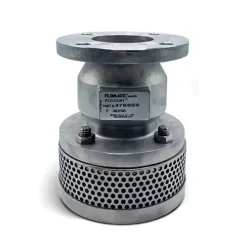Rọ bơm mặt bích