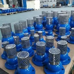 Rọ bơm mặt bích