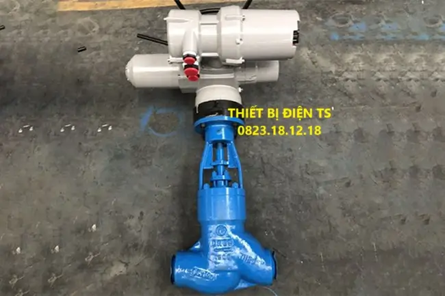 Van cầu gang điều khiển điện