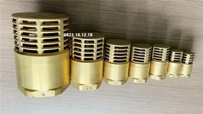 Rọ bơm đồng 8 Van chân đồng