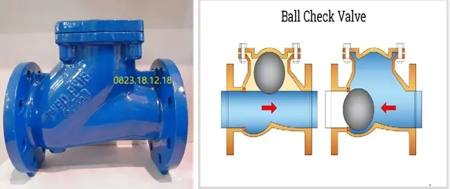 Van một chiều bi