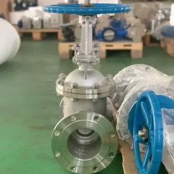 Van cổng chịu nhiệt độ cao 5 Van cổng chịu nhiệt độ cao