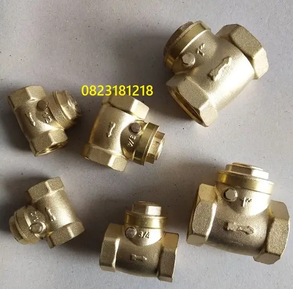 Van một chiều đồng 2 Van một chiều đồng
