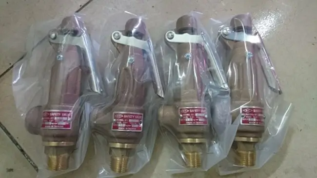 Van an toàn nối ren 5 Van an toàn