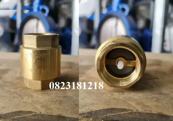 Van một chiều đồng 8 Van một chiều đồng Italy