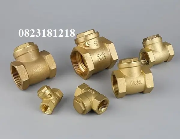 Van một chiều đồng 5 Van một chiều đồng lá lạt