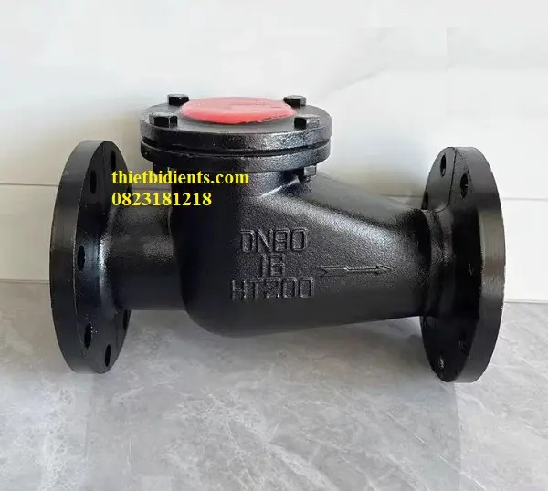 Van một chiều mặt bích 7 Van một chiều gang mặt bích