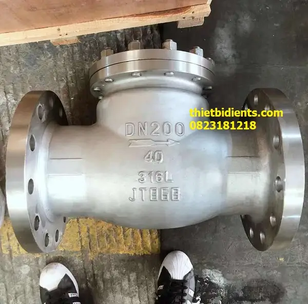 Van một chiều mặt bích 3 Van một chiều lắp bích