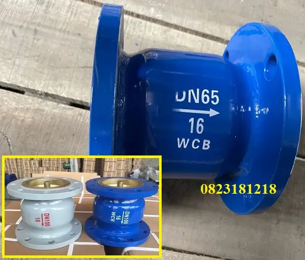 Van một chiều thép 12 Van một chiều lò xo thép