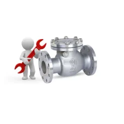 Van một chiều mặt bích