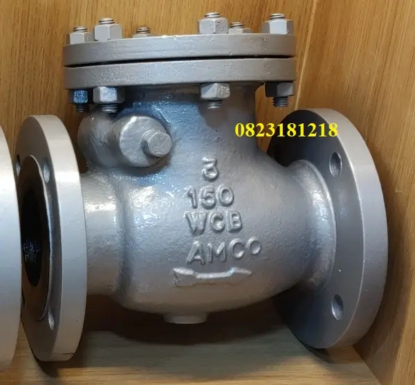 Van một chiều thép 2 Van một chiều thép công nghiệp