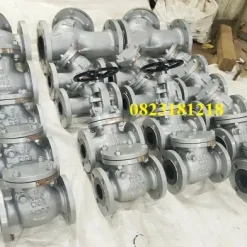 Van một chiều thép 7 Van một chiều thép mặt bích